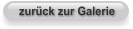 zurück zur Galerie