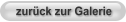 zurück zur Galerie