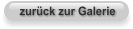 zurück zur Galerie