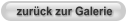 zurück zur Galerie