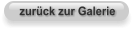 zurück zur Galerie