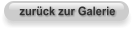 zurück zur Galerie