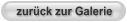 zurück zur Galerie
