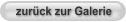 zurück zur Galerie