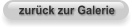 zurück zur Galerie